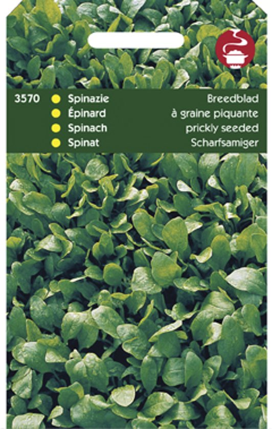 Spinazie breedblad (Spinacia oleracea) 7000 zaden HT